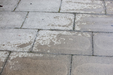 Concrete walkway with water patch