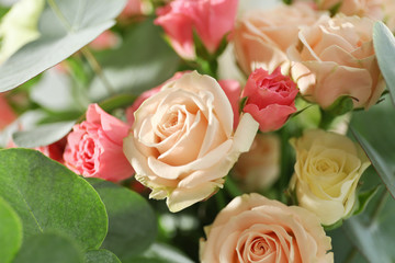 Beautiful flowers, closeup