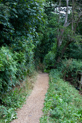 Obraz premium Country Lane in British Countryside