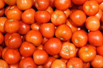 Fresh red tomatoes