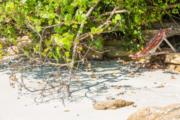 Beach chairs on beach, white sand, green trees