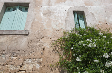 Fototapeta na wymiar Low angle view of stone wall house with flower plant growing in foreground