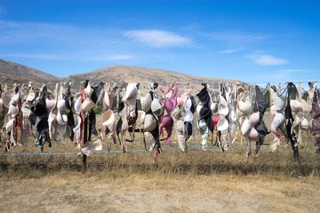 Deurstickers landmark bras fence in new zealand © zhu difeng