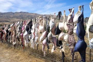 Papier Peint photo Nouvelle-Zélande landmark bras fence in new zealand