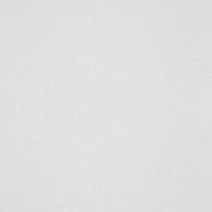 white canvas background