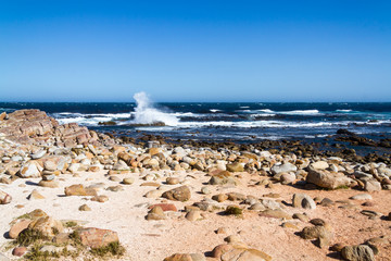 Cape of Good Hope Beach