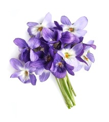 Bouquet of violets flowers