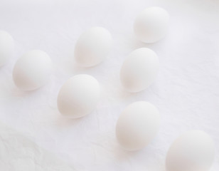 White eggs on a white background.