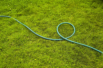 Green garden hose, lying on the grass in the garden.