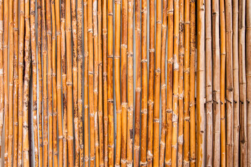 Dried yellow bamboo wall