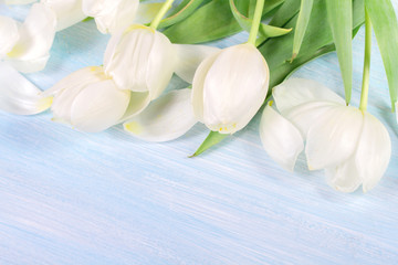 white tulip on blue wooden table