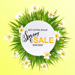 Advertisement about the spring sale on background with grass and daffodil narcissus flowers.