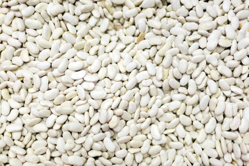 Abundance of dry healthy beans