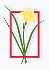 daffodil frame shadow isolated on white background art creative vector illustration