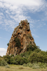 Hells Gate NP in Kenya, Africa