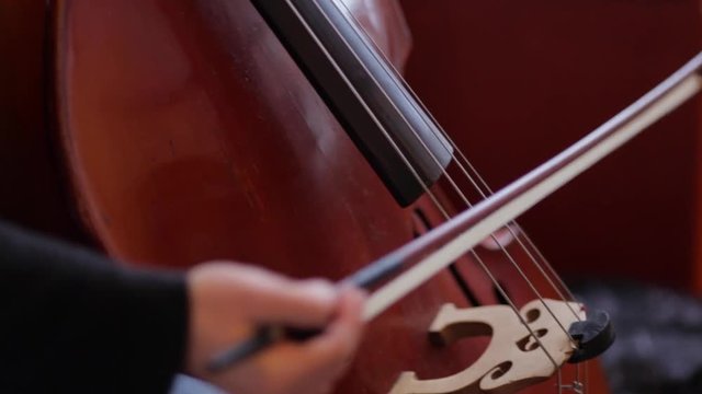 man playing the cello. close-up.