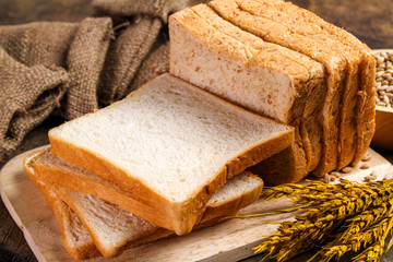 slice brown bread and white bread isolated on background