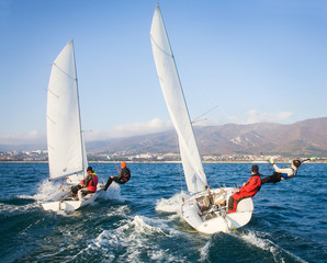 Naklejka premium sailing Regatta on sea