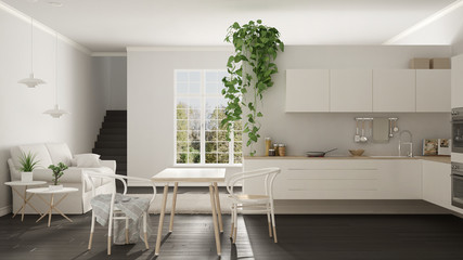 Scandinavian white minimalist living with kitchen, open space, one room apartment, modern interior design