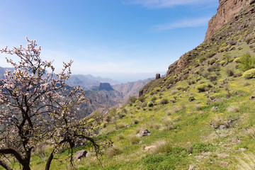 Bergwelt bei Tejeda in Gran Canaria