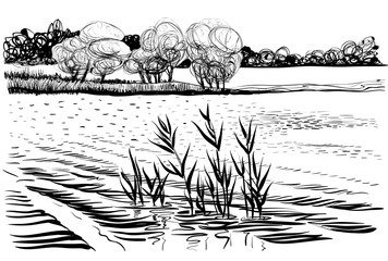 Naklejka premium Vector illustration of river landscape with cattail and trees.