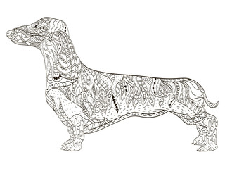 Dachshund coloring book for adults vector