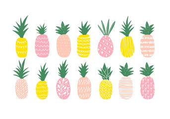 The vector illustration of the variety of different colored pineapples.