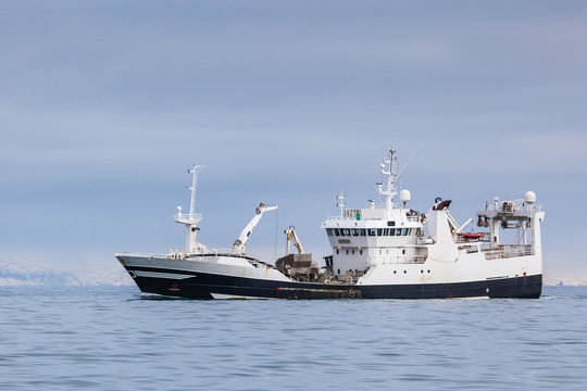 Pelagic fishing vessel fully loaded with Capelin sailing near the coast of Iceland.
