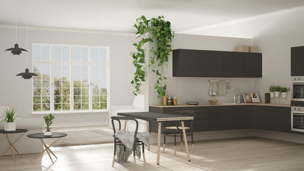 Scandinavian gray minimalist living with kitchen, open space, one room apartment, modern interior design