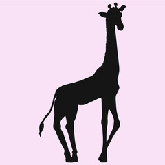 Giraffe vector silhouette isolated