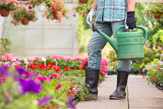 Low section of man holding watering can at greenhouse
