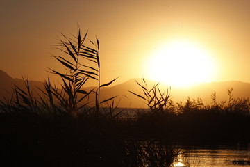 Fototapeta premium Gün Batımı