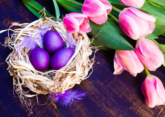Purple Easter eggs in nest, fresh pink tulips  on wooden background.