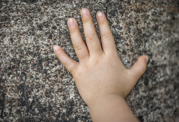 Little hand on a big tree