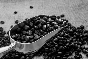 Steel spoon with heap of roasted coffee beans on burlap backdrop with black and white color effect