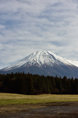 Fototapeta premium 朝霧高原から見た富士山