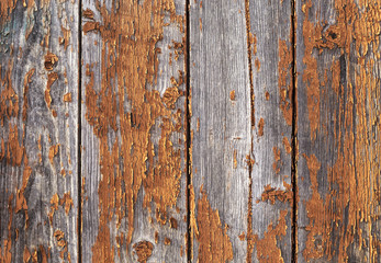 Naklejka premium Old weathered red painted wooden wall with flaking off paint, texture pattern