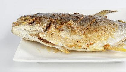 Yellow pomfret isolated on white background