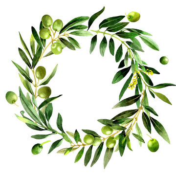 Olive tree wreath in a watercolor style isolated.