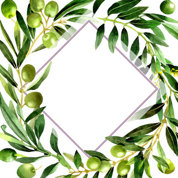 Olive tree frame in a watercolor style isolated.