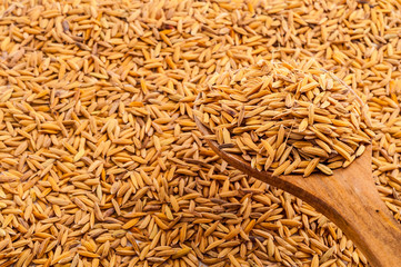 Raw unpolished heap of rice on wooden spoon