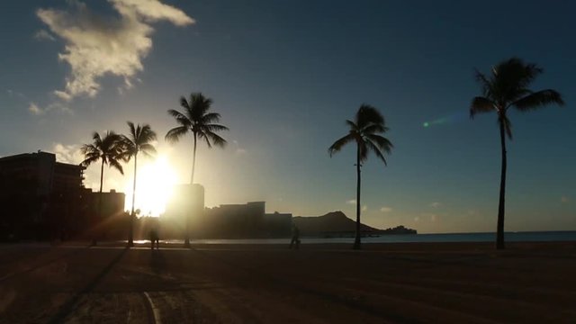 Beautiful evening lights illuminate people walking along the beach under tall palms