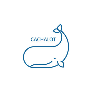 Cachalot icon. Whale logo. Vector illustration.