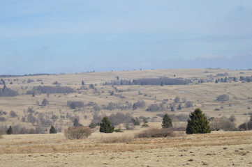 Moor- und Heidelandschaft