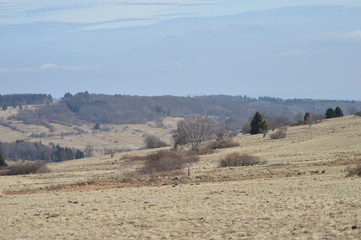 Moor- und Heidelandschaft