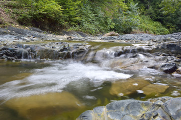 A slow moving stream in a forest decked out in fall colors