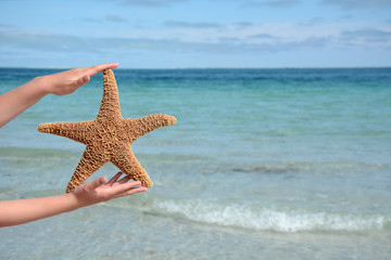 Fototapeta na wymiar child holding a starfish at the beach