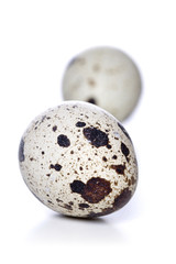 Obraz premium Quail eggs - studio shot