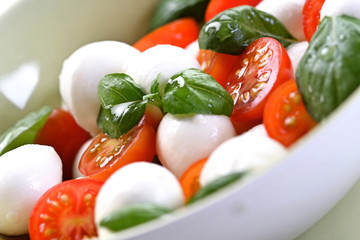 Close of tomato and mozarella in dish