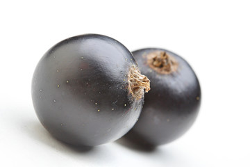 Close - up of blackcurrants on white background